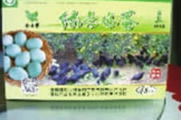 GA黄金甲,油茶种植出产加工销售,植物油种植出产加工销售 GA黄金甲,油茶种植出产加工销售,植物油种植出产加工销售