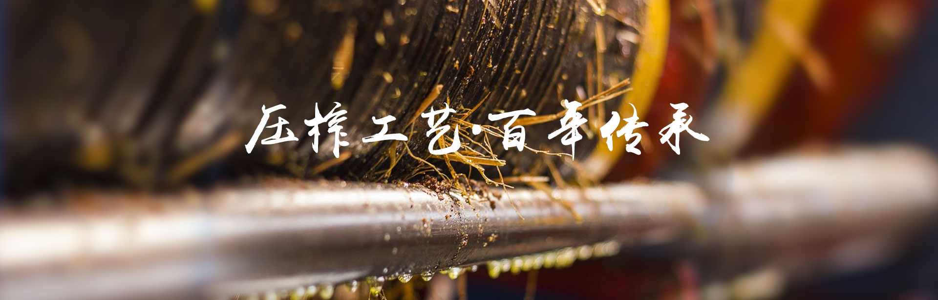 GA黄金甲_油茶种植出产加工销售|植物油种植出产加工销售