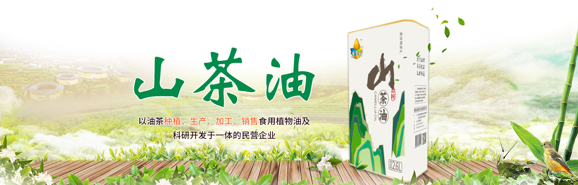 GA黄金甲_油茶种植出产加工销售|植物油种植出产加工销售