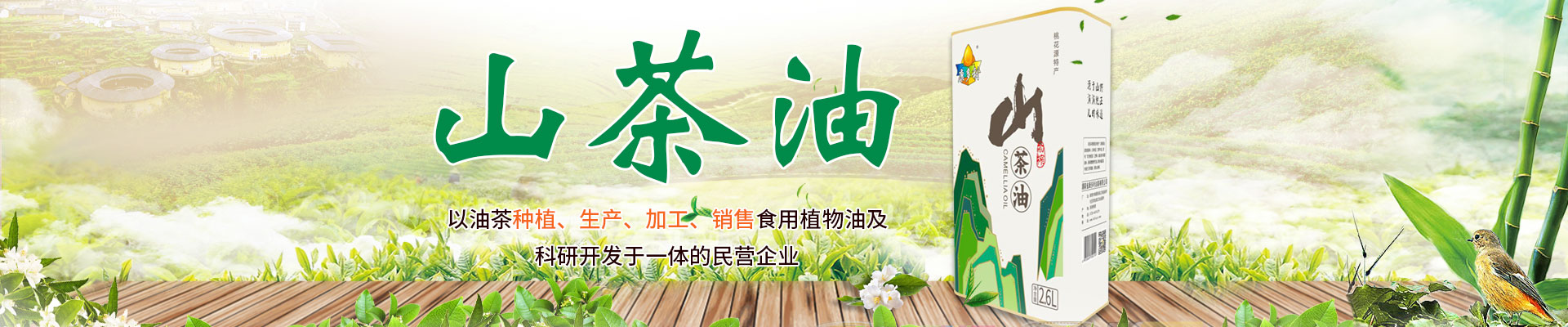 GA黄金甲_油茶种植出产加工销售|植物油种植出产加工销售