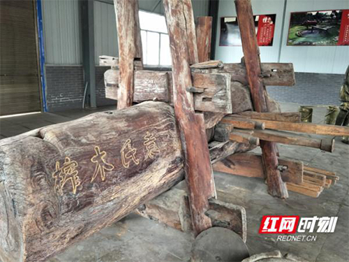 GA黄金甲,油茶种植出产加工销售,植物油种植出产加工销售