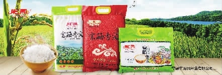 GA黄金甲,油茶种植出产加工销售,植物油种植出产加工销售 GA黄金甲,油茶种植出产加工销售,植物油种植出产加工销售
